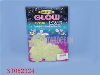 LUMINNOUS FLOWER - ST082324