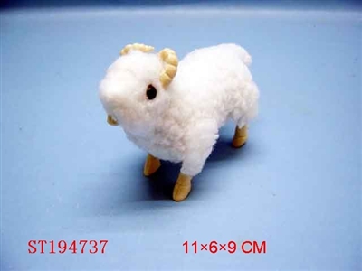 WINDING UP SHEEP - ST194737