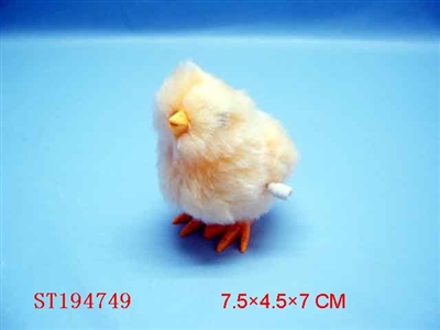 WINDING UP CHICK - ST194749