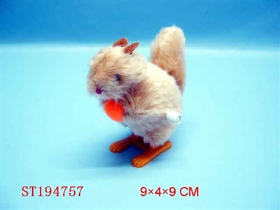 WINDING UP SQUIRREL - ST194757