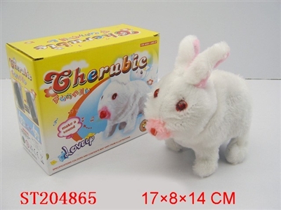 ELECTRIC HARE,HAVELIGHT - ST204865