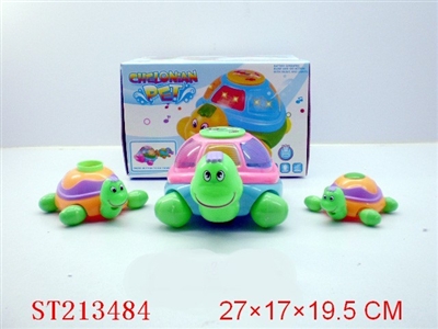 B/O TORTOISE - ST213484
