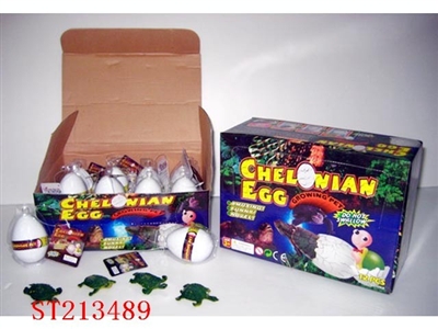 TORTOISE  EGG (4 STYLES ASST) - ST213489