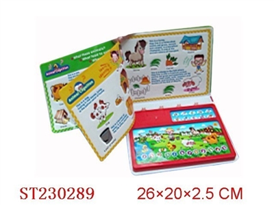 ENGLISH LEARNING BOOK - ST230289
