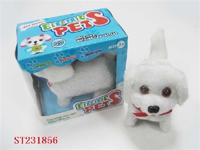 B/O ANIMAL - ST231856