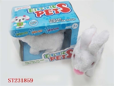 B/O ANIMAL - ST231859