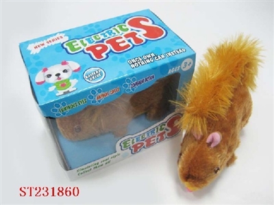 B/O ANIMAL - ST231860