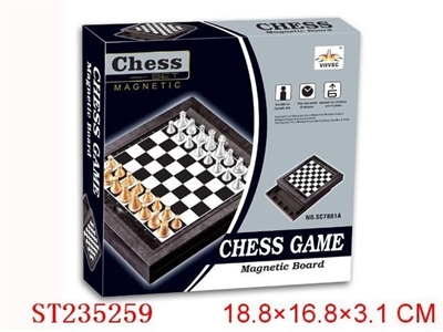 MAGNETISM GAMES - ST235259