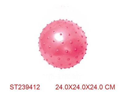 按摩球(24cm) - ST239412