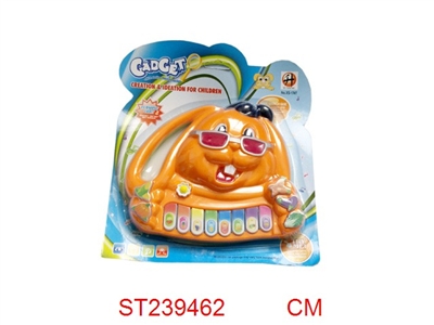 LEARNING PIANO - ST239462