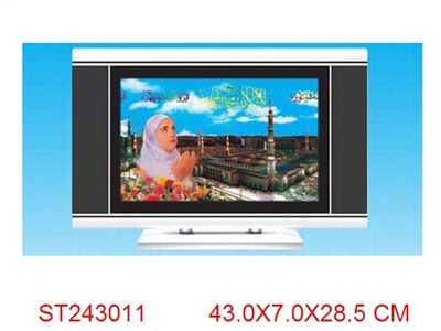 中电视鱼灯 - ST243011