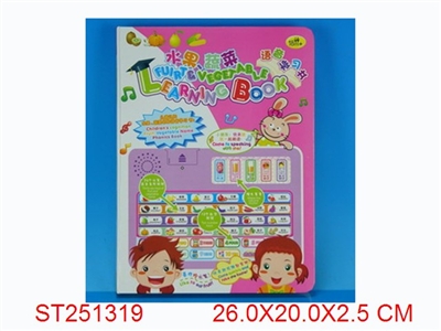 ENGLISH LEARNING BOOK - ST251319