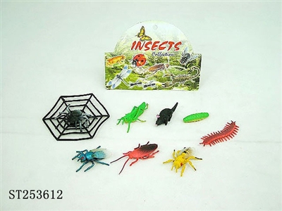 INSECT - ST253612