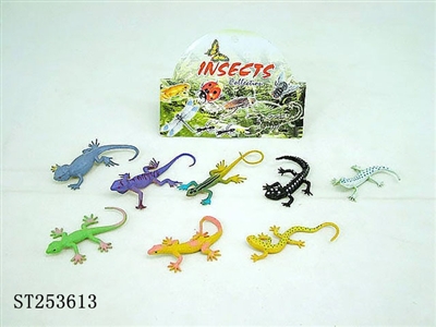 LIZARD - ST253613