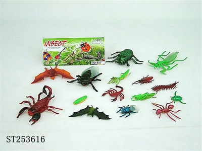 INSECT - ST253616