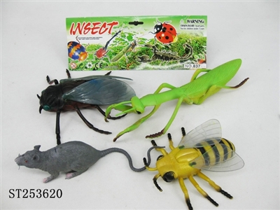 INSECT - ST253620