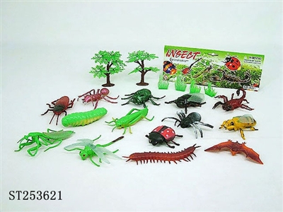 INSECT - ST253621