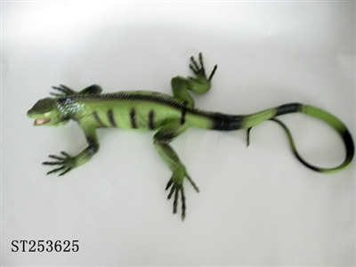 LIZARD - ST253625