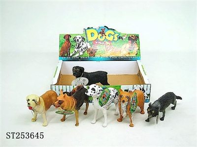 DOG - ST253645