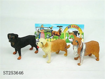 DOG - ST253646