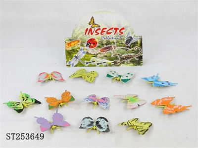 BUTTERFLY - ST253649