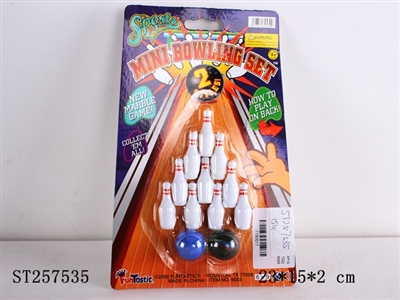INTELLIGENCE BOWLING - ST257535