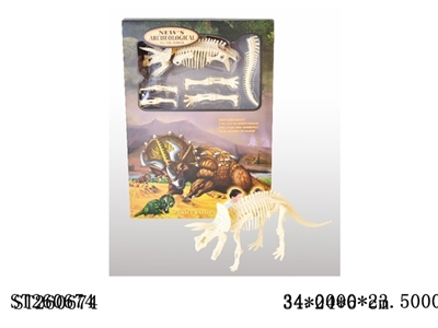 DIY BONE DRAGON - ST260674