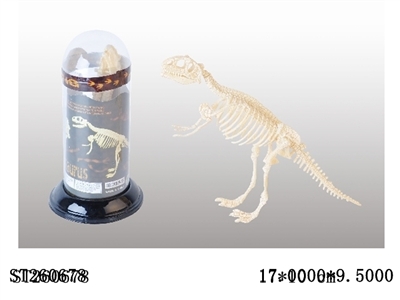 DIY BONE DRAGON - ST260678