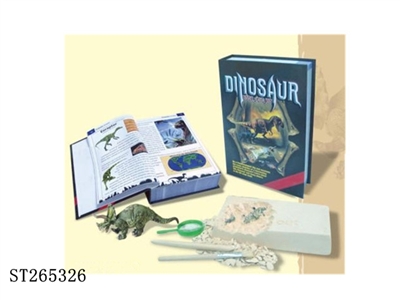 Book box big dragon - ST265326