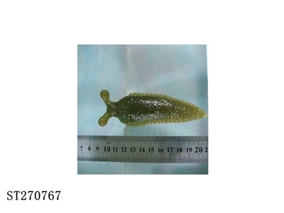 insect - ST270767