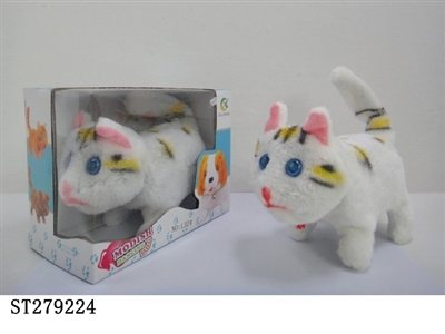 B/O CAT - ST279224