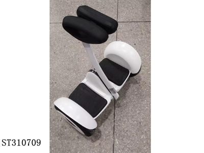  - ST310709