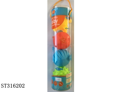  - ST316202