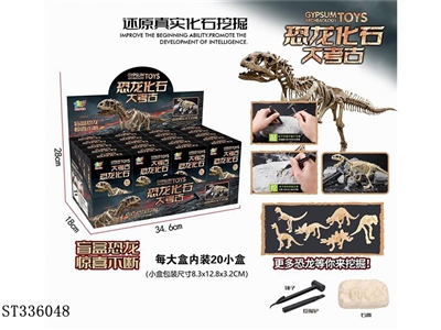 Dinosaur fossil Archaeology - ST336048