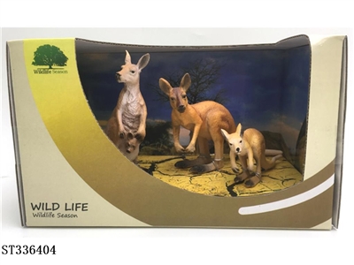 Male kangaroo female kangaroo, 3 kangaroos in total - ST336404