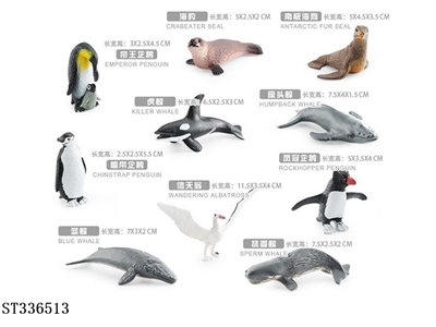 Antarctic animals - ST336513