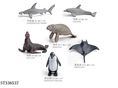 6 marine animals - ST336537