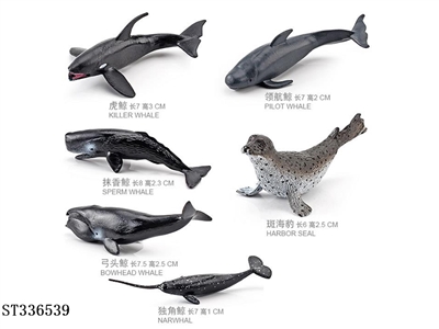 6 Marine Organisms [2]] - ST336539