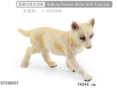Walking posture white wolf king cub - ST336557