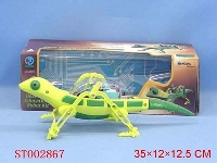 ST002867 - B/O Lizard
