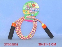 ST003851 - 跳蝇