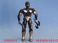 ST005012 - 