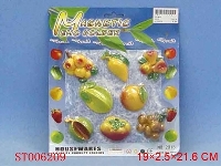 ST006209 - MAGNETIC FRUITS