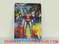 ST009113 - 