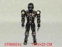 ST009215 - 
