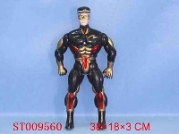 ST009560 - 