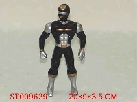 ST009629 - 