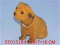 ST015184 - DOG