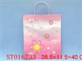 ST016733 - BAG
