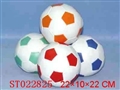 ST022825 - 